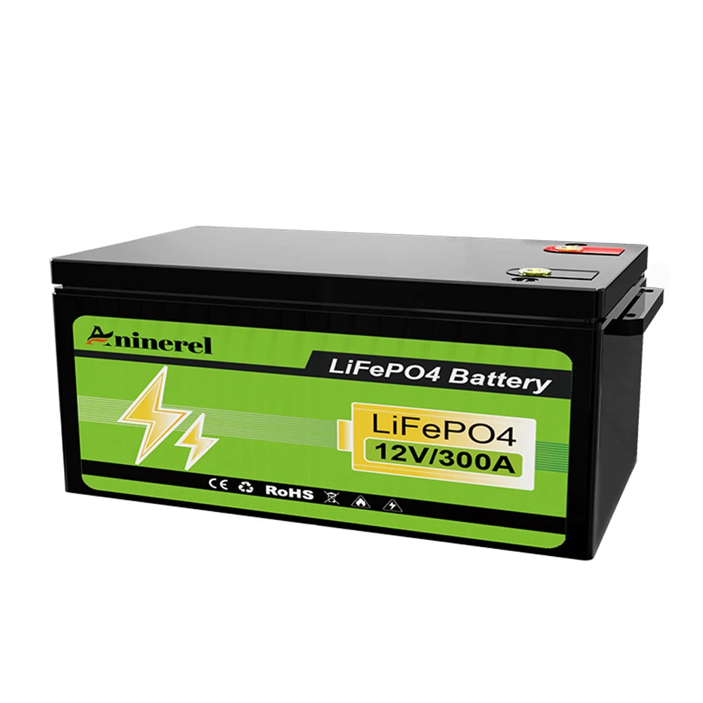 Aninerel LiFePO4 Lithium Battery With BMS for RV Solar Systems
