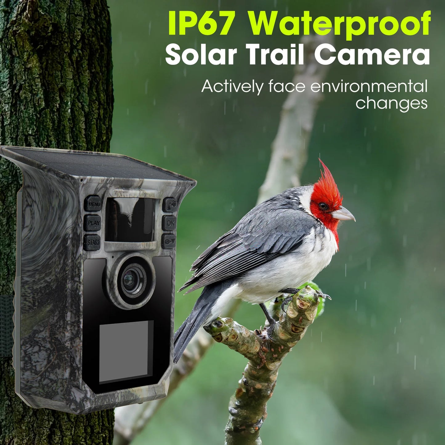 4K Solar Trail Camera 64MP Night Vision Fast Trigger