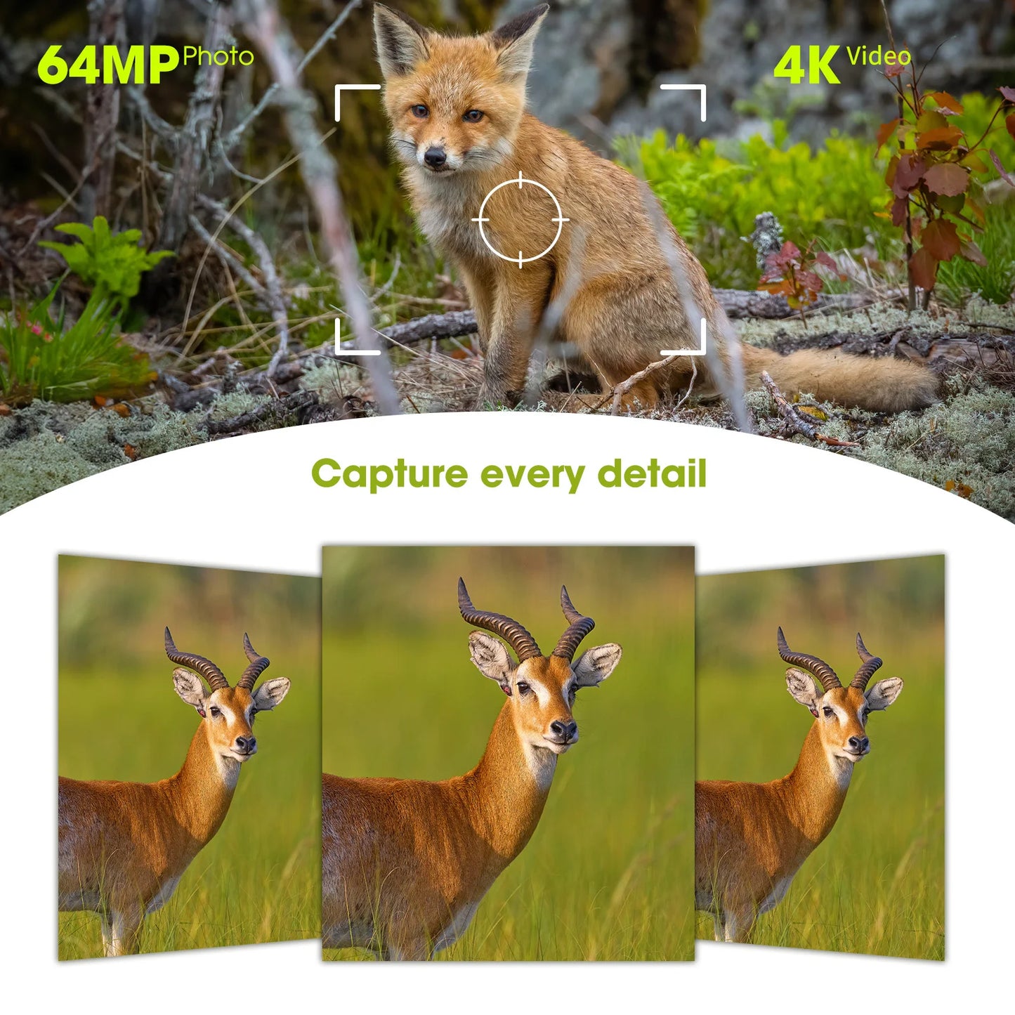4K Solar Trail Camera 64MP Night Vision Fast Trigger