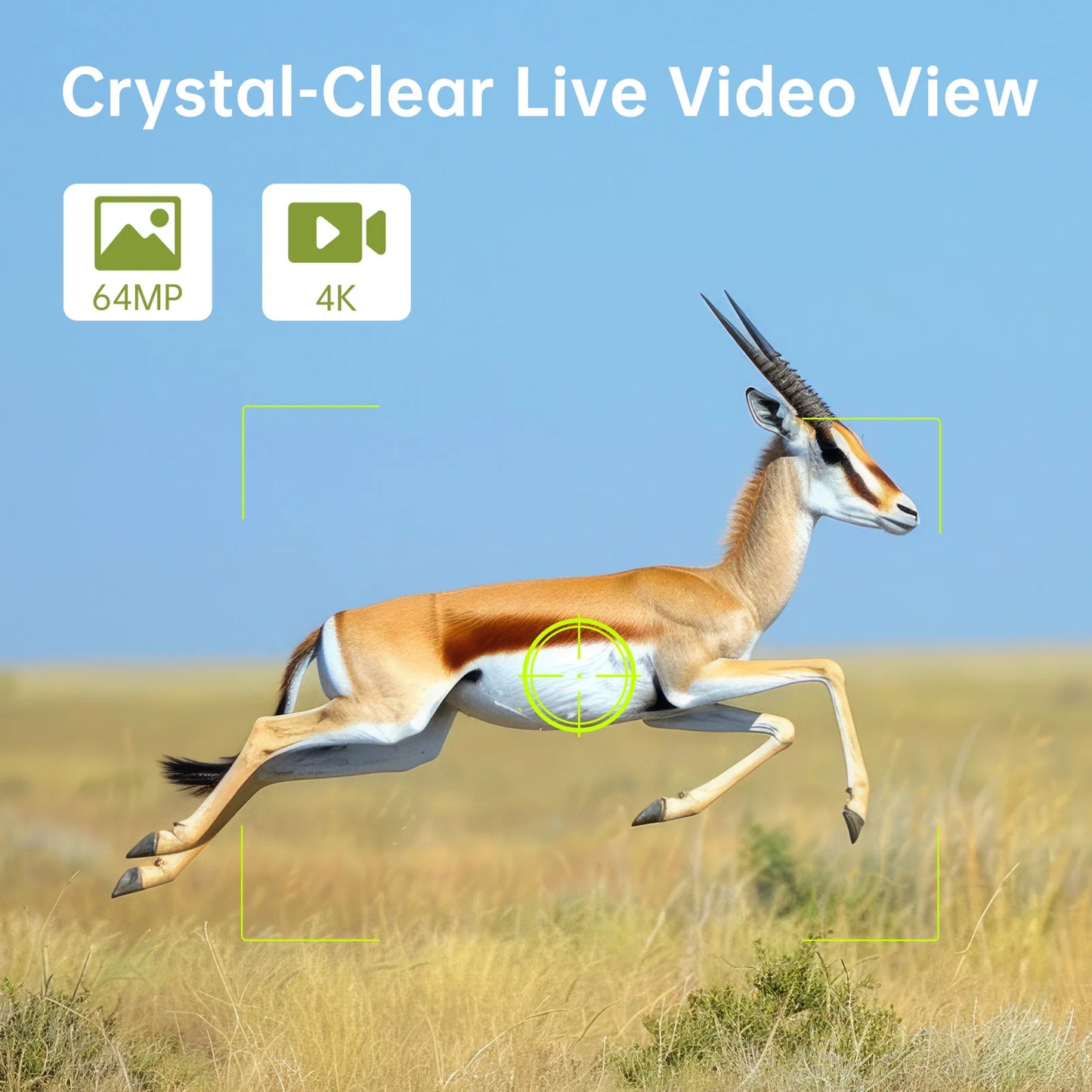 Trail Camera Solar 4K 64MP Night Vision With Solar Panel