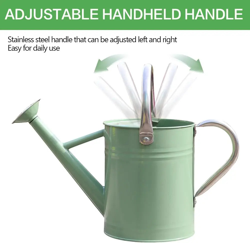 Stainless Steel Watering Can, 1 Gallon for Indoor Outdoor Garden Plants, Cream Green