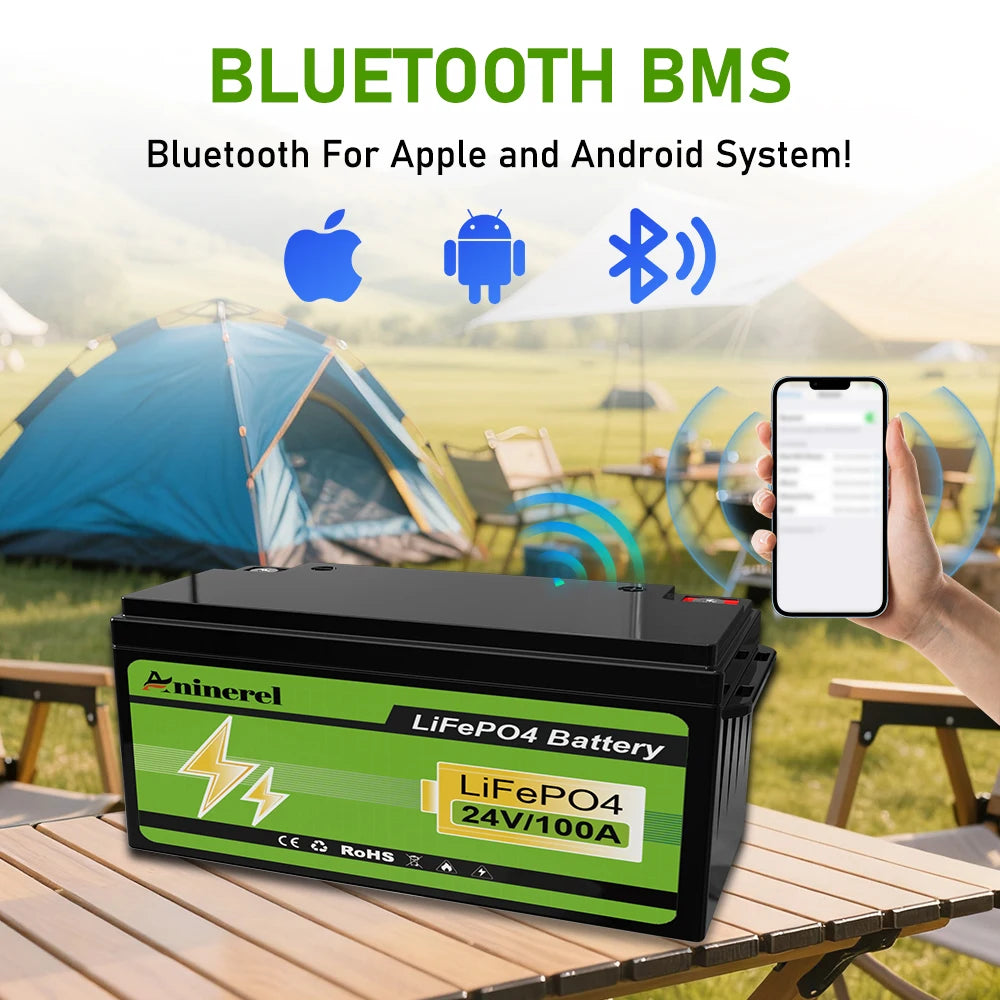 Aninerel LiFePO4 Lithium Battery With BMS for RV Solar Systems