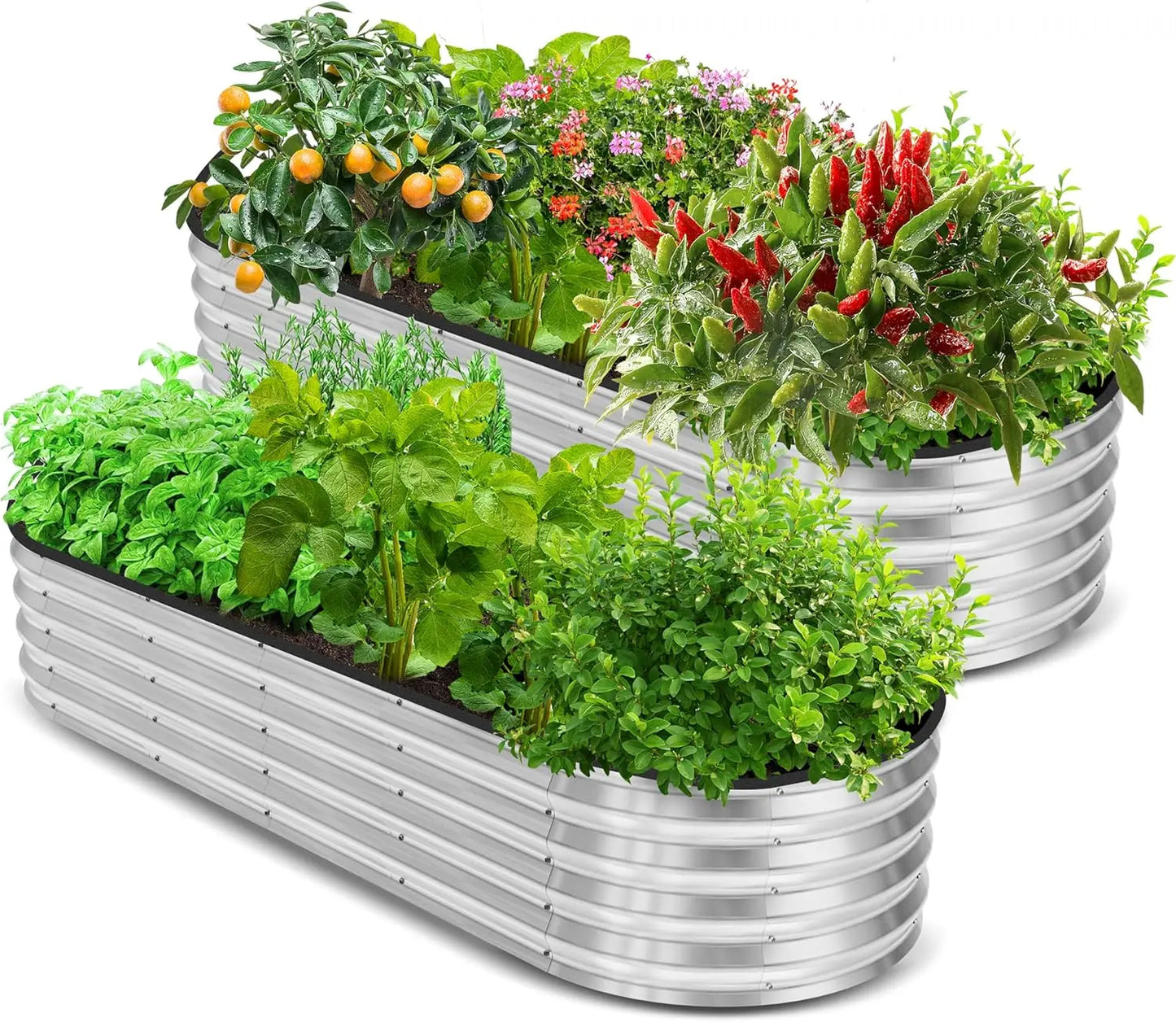6x2ft Galvanized Raised Garden Bed, Lightweight Planter Box with Easy Assembly for Vegetables Fruits Flowers, Pack of 2
