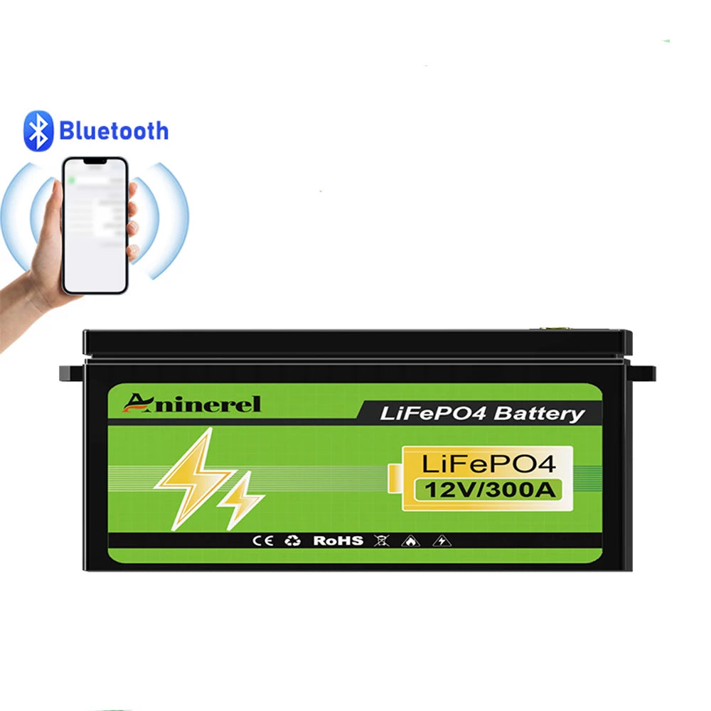 Aninerel LiFePO4 Lithium Battery With BMS for RV Solar Systems
