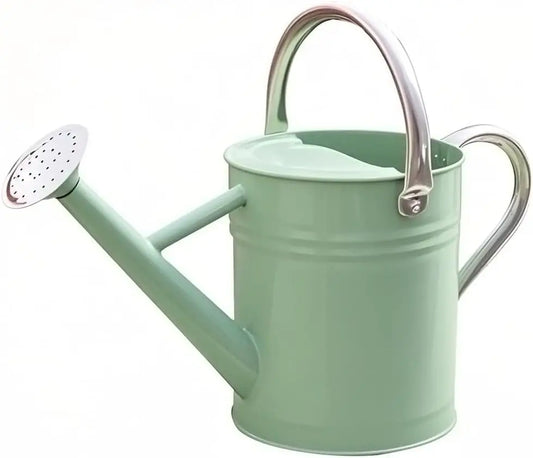 Stainless Steel Watering Can, 1 Gallon for Indoor Outdoor Garden Plants, Cream Green