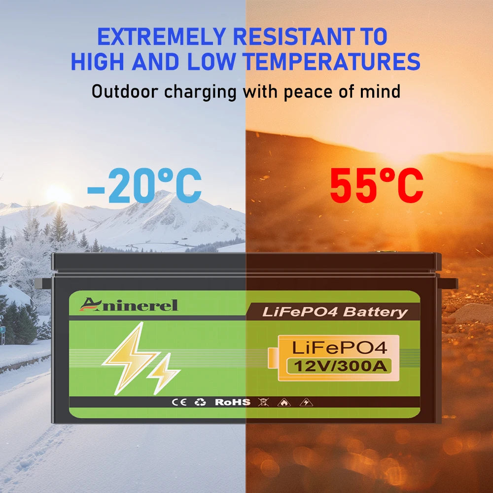 Aninerel LiFePO4 Lithium Battery With BMS for RV Solar Systems