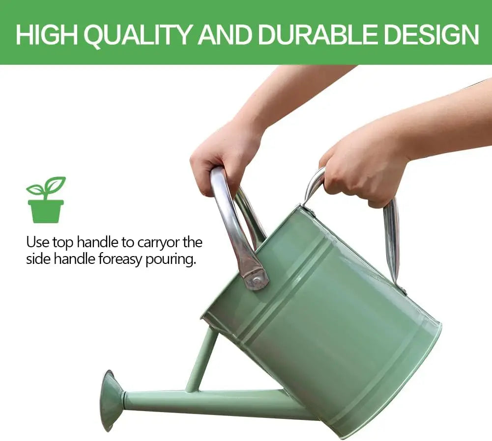 Stainless Steel Watering Can, 1 Gallon for Indoor Outdoor Garden Plants, Cream Green