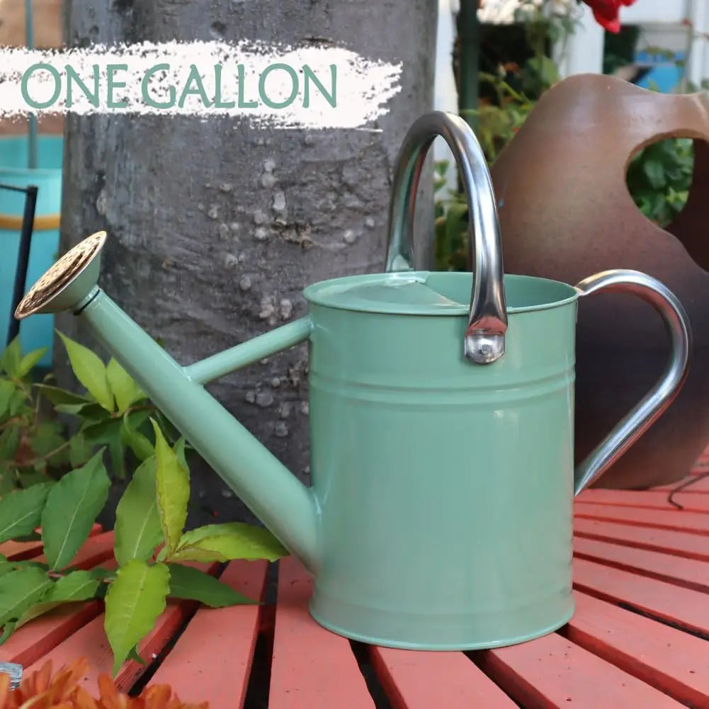 Stainless Steel Watering Can, 1 Gallon for Indoor Outdoor Garden Plants, Cream Green