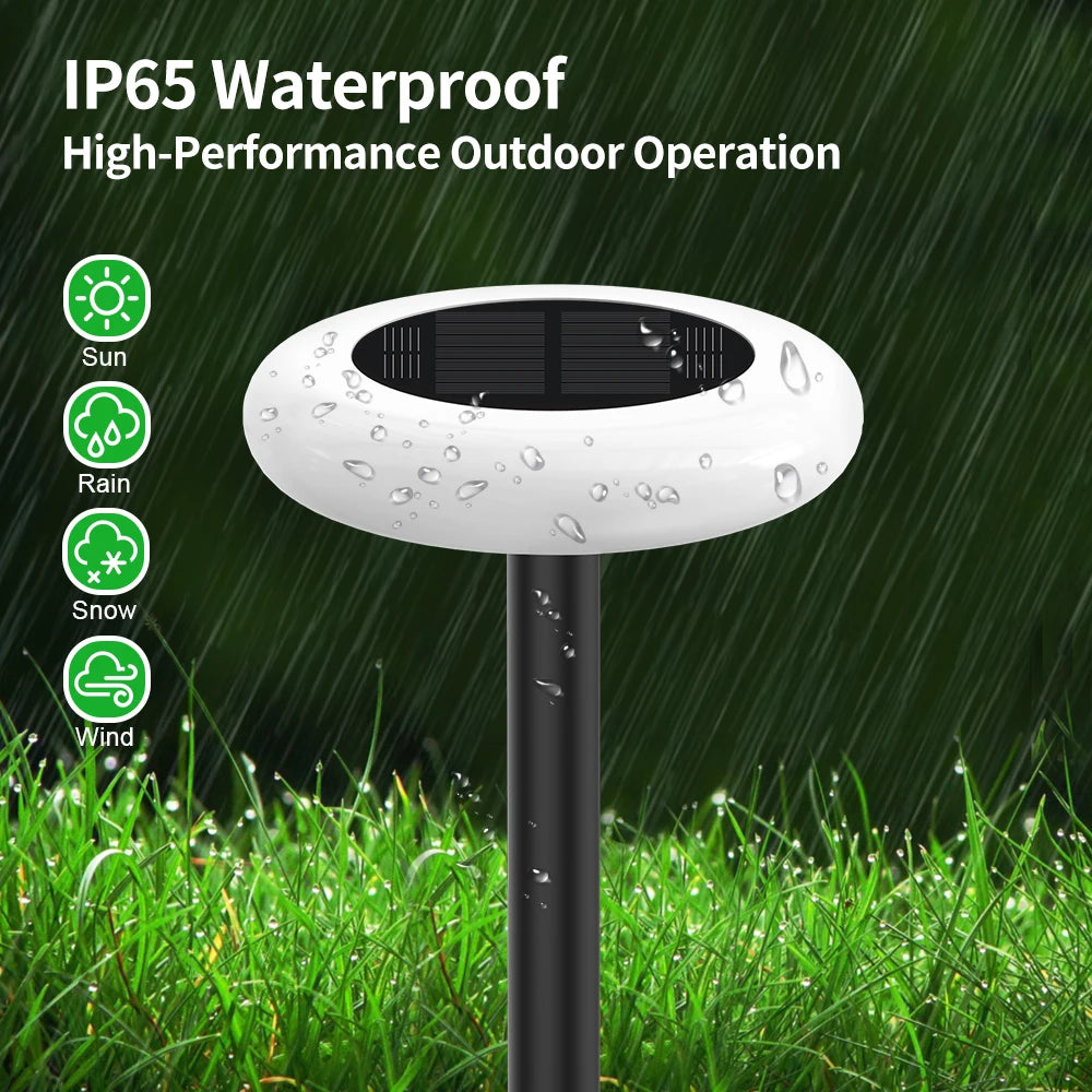 Intelamp Color Changing Solar Pathway Lights for Garden and Landscape