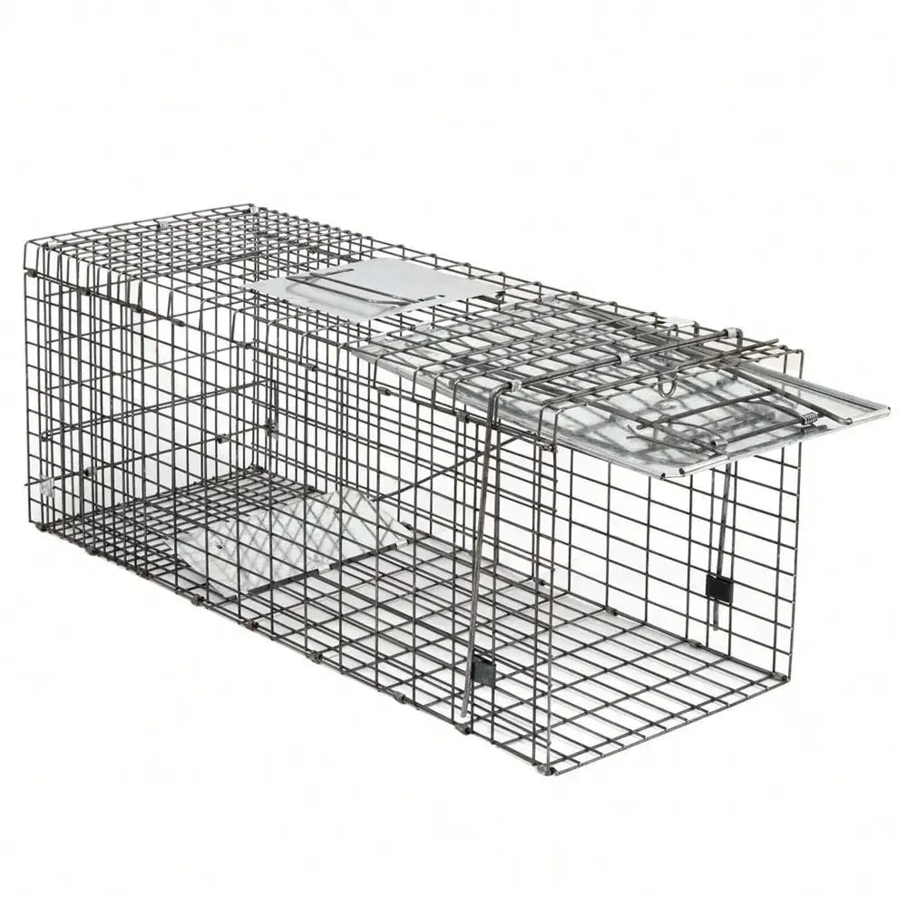 2X Live Animal Trap Cage 32" Steel Cage Raccoon Rat Cage w/Iron Door For Rodent